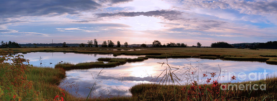 Morning at the Marsh Photograph by David Bishop