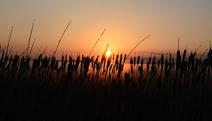 Morning at the Marsh Photograph by Whispering Peaks Photography - Fine ...