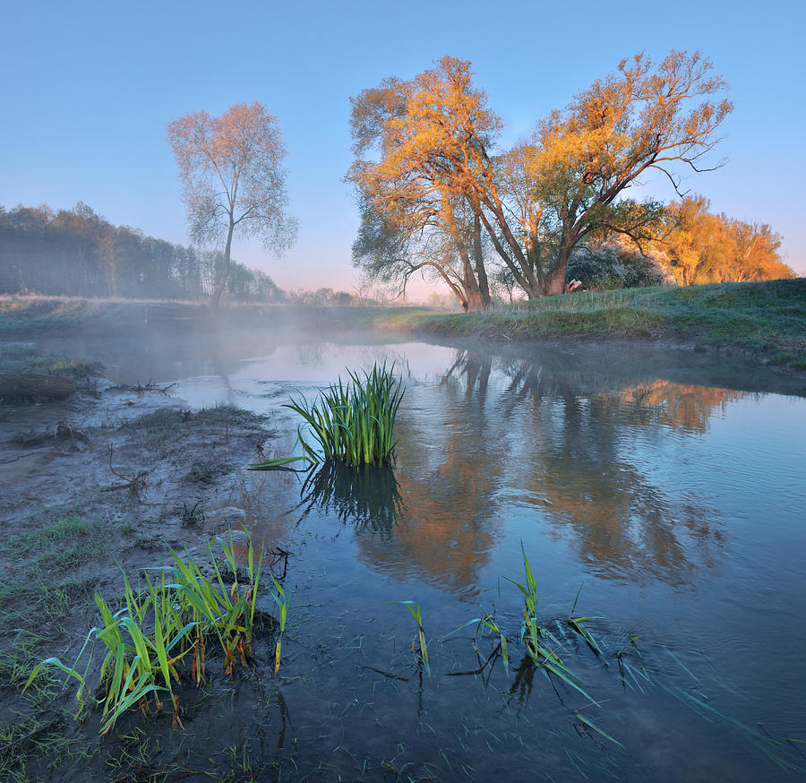 Nature Photograph - Morning at the river by Stanislav Salamanov