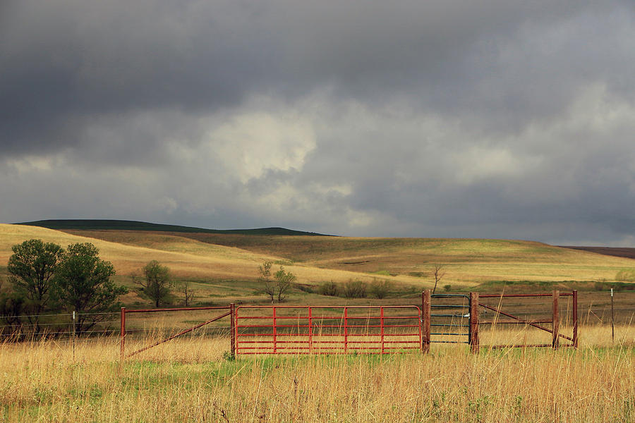 Morning at the Tallgrass Prairie Photograph by Christopher McKenzie