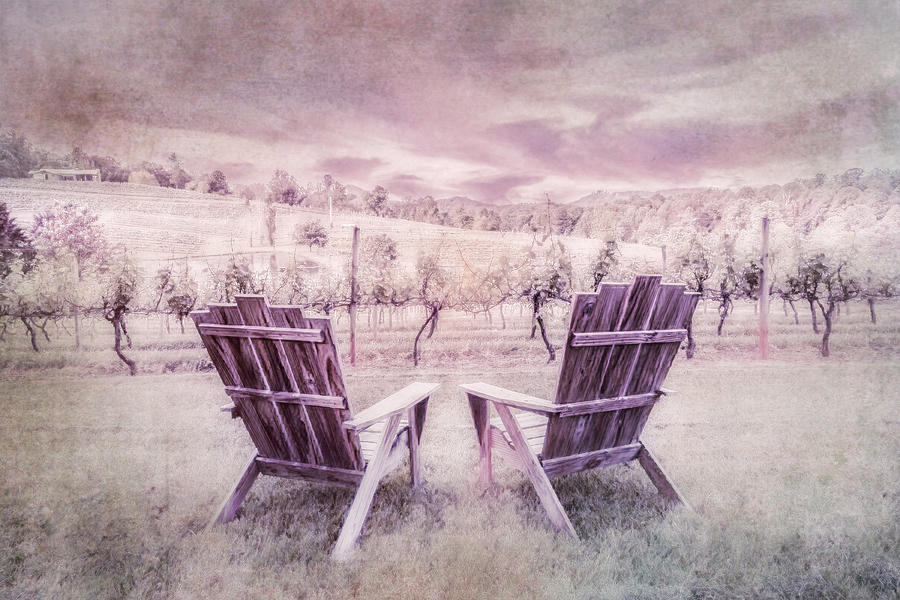 Morning at the Vineyard Textured Painting Photograph by Debra and Dave Vanderlaan