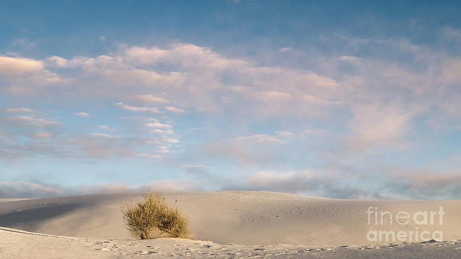 Morning at White Sands National Monument Photograph by Jerry Fornarotto