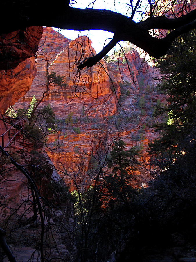Morning at Zion National Park Photograph by Rona Black