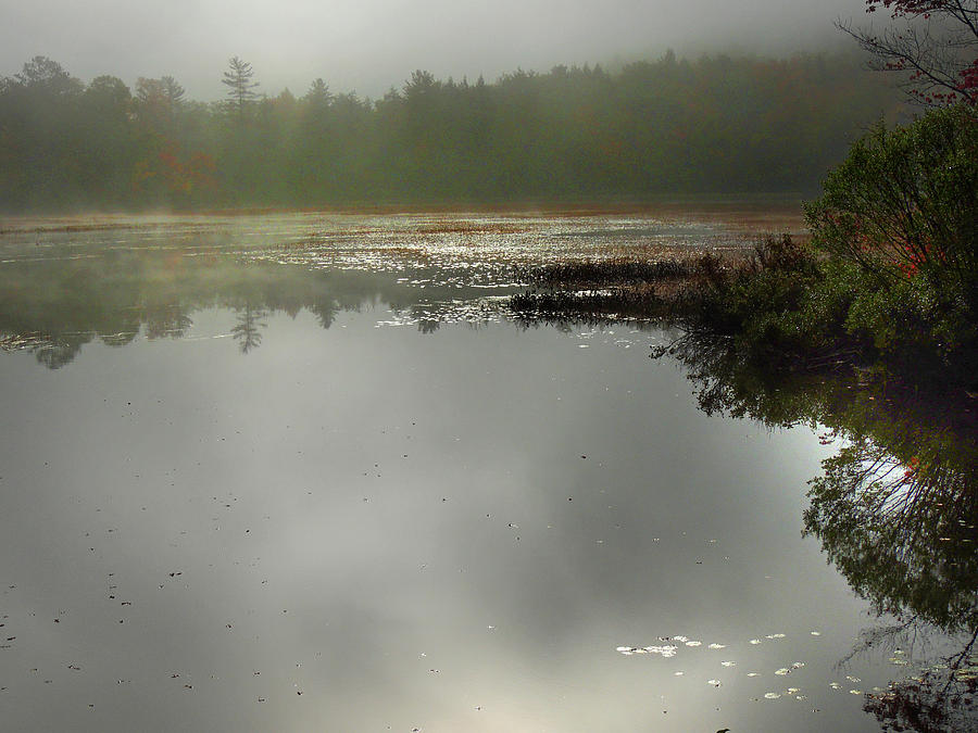 Morning Autumn Mist on Baker Pond Photograph by Nancy Griswold