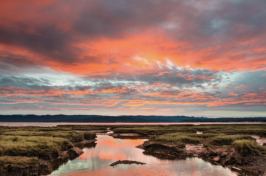 Morning Awakens over Arcata Bay Photograph by Greg Nyquist
