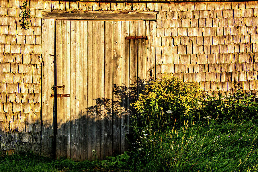 Morning Barn Doorway Photograph by Douglas Wielfaert