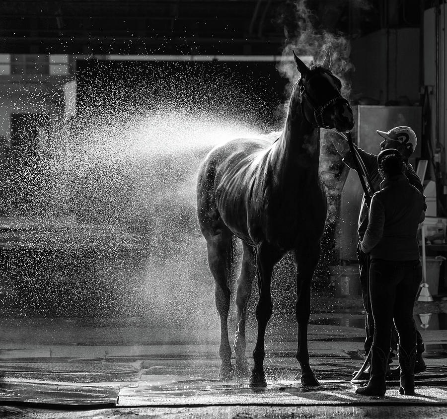 Morning Bath Photograph by Margaret Burlingham Fine Art America