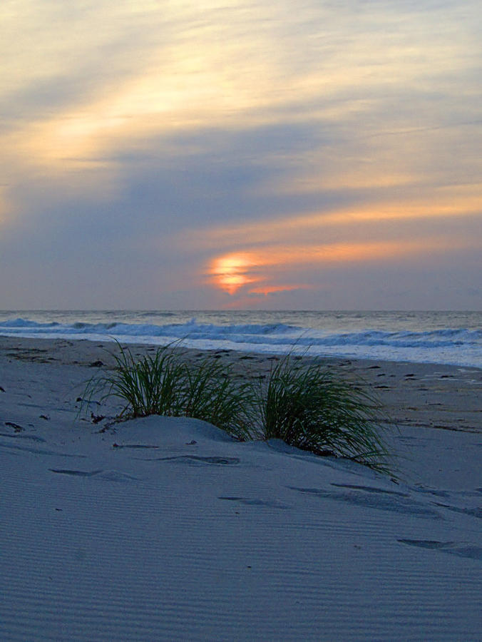 Morning Beach Photograph by  Newwwman