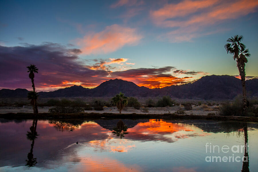 Morning Beautiful Reflections Photograph by Robert Bales