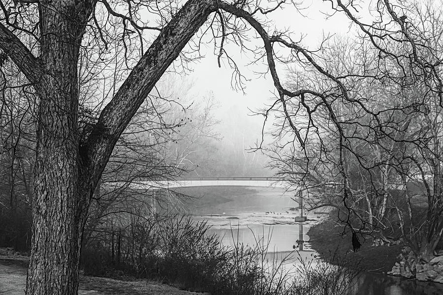 Morning Beckons in Black and White Photograph by Debra and Dave Vanderlaan