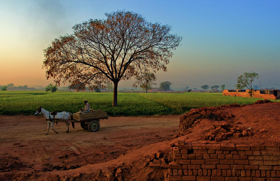 Early Morning Photograph - Morning Bliss by Awais Yaqub Early Morning Photograph - Morning Bliss by Awais Yaqub