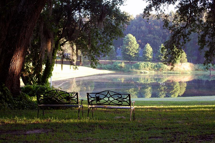 Morning by the Pond Photograph by Robert Meanor