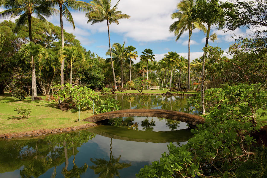 Morning Calm In The Na Aina Kai Botanical Garden. Photograph By Larry 