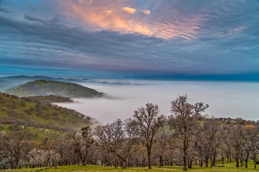 Morning Clouds Above Fog Photograph by Marc Crumpler