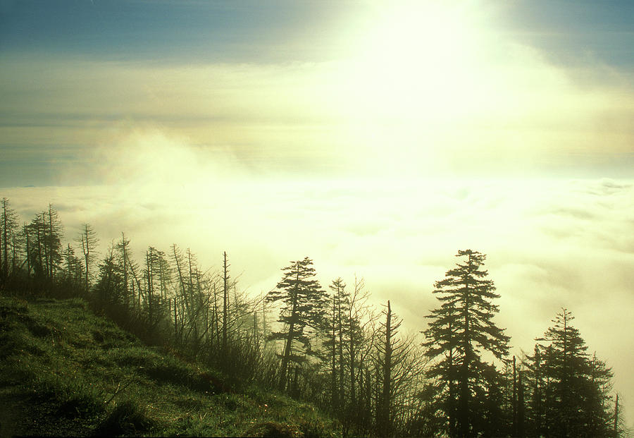 Morning Clouds Clingmans Dome Photograph by John Burk