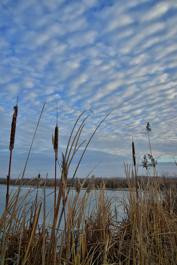 Morning Clouds over Frozen Wetland in Glacial Park Photograph by Ray Mathis