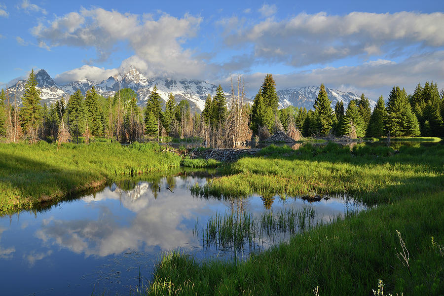 Morning Clouds over Tetons Photograph by Ray Mathis