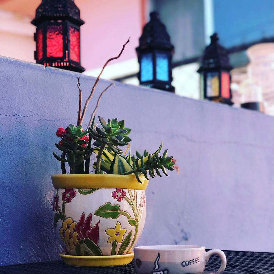 Morning coffee by Thelma Delgado Morning coffee by Thelma Delgado