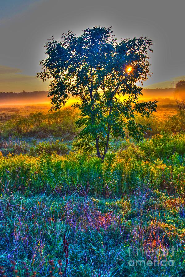 Morning Color-4 Photograph by Robert Pearson