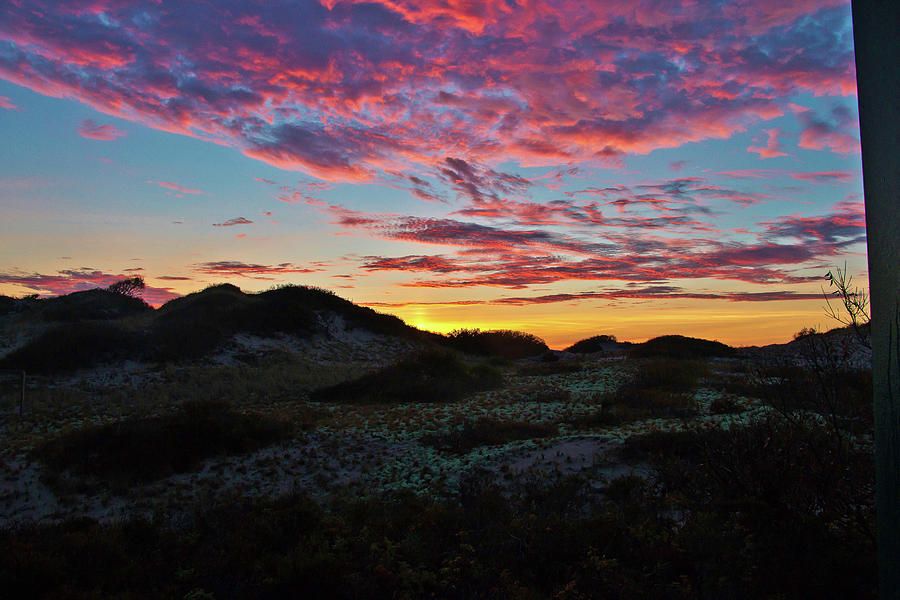 Morning Colors Over the Dunes Photograph by Marisa Geraghty Photography