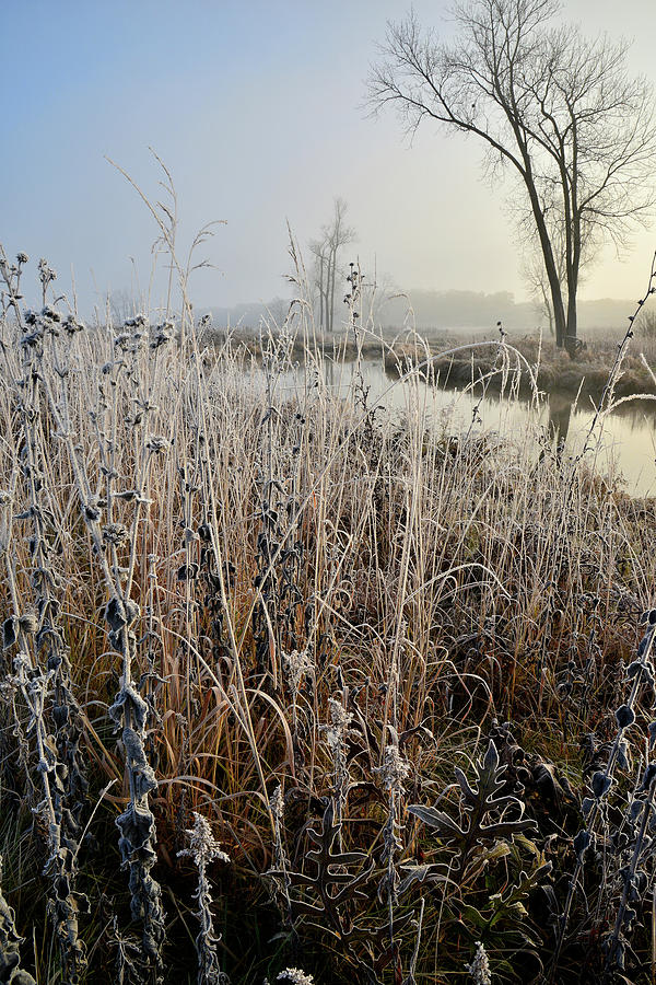 Morning Comes to a Frosted Glacial Park Photograph by Ray Mathis