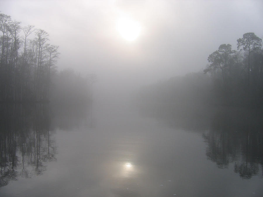 Morning Creek Photograph by Rick McKinney