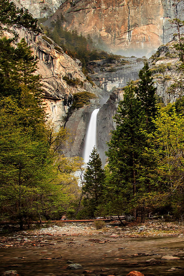 Yosemite National Park Photograph - Morning Delight by Az Jackson