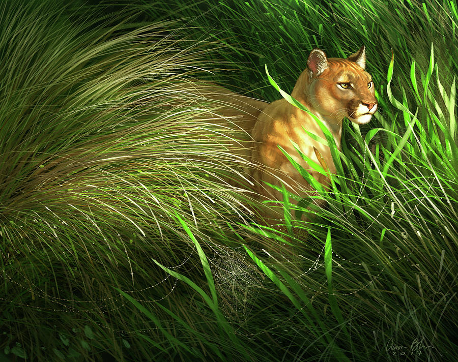 Panther Digital Art - Morning Dew - Florida Panther by Aaron Blaise