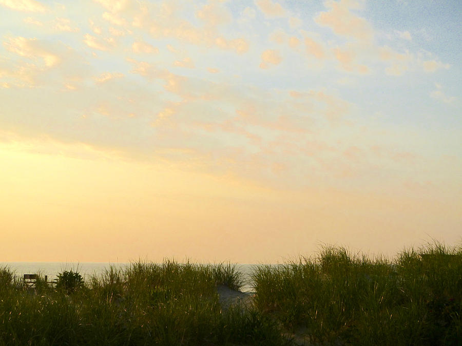 Morning Dunes Photograph by Ellen Paull