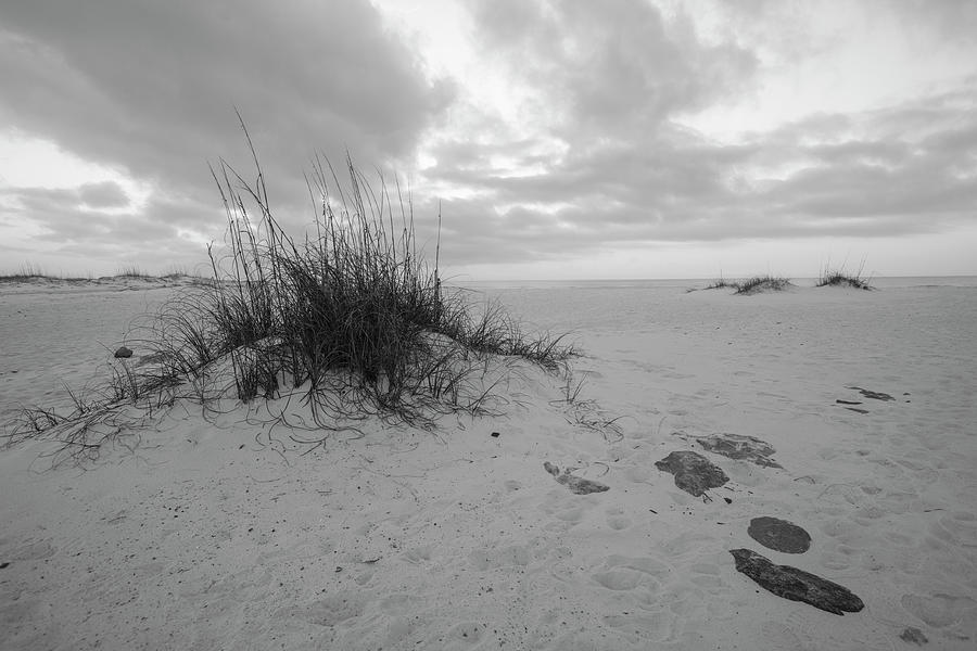 Morning Dunes  Photograph by John McGraw