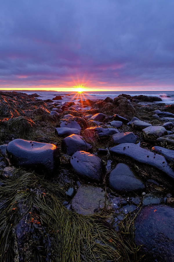 Morning Fire, Sunrise On The New Hampshire Seacoast  Photograph by Jeff Sinon