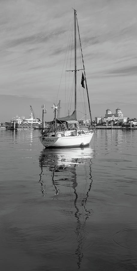 Morning Float in Black and White Photograph by Debra and Dave Vanderlaan