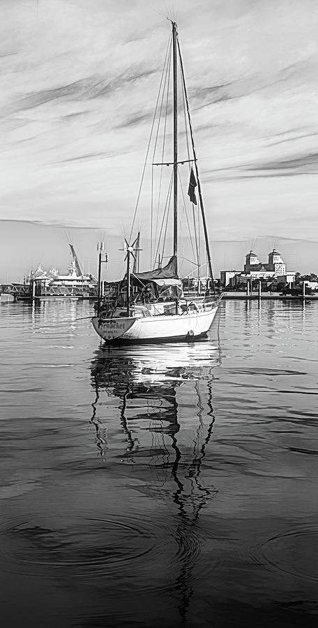 Morning Float in Black and White Sketch Photograph by Debra and Dave Vanderlaan