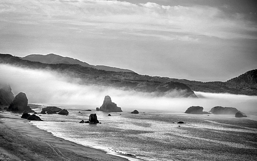 Morning Fog Photograph by AJ Schibig
