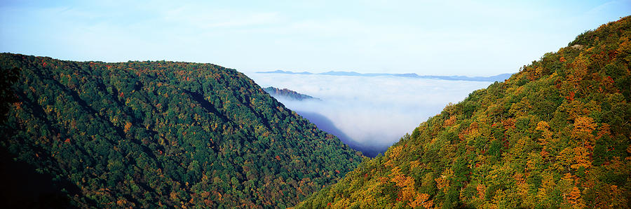 Fall Photograph - Morning Fog At Sunrise In Autumn by Panoramic Images