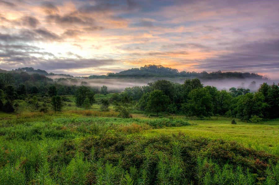 Morning Fog Photograph by Brad Bellisle