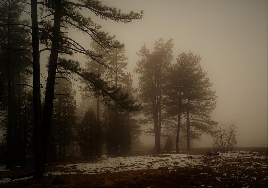 Morning fog by Broderick Delaney Morning fog by Broderick Delaney