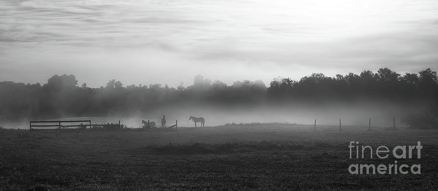 Morning Fog BW Photograph by Michael Ver Sprill