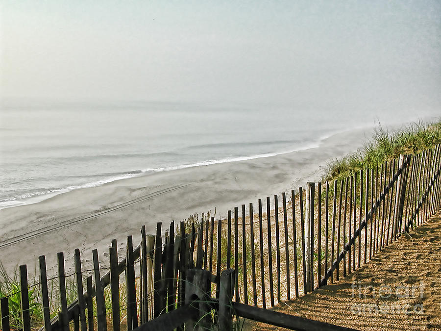 Beach Photograph - Morning Fog by Edward Sobuta
