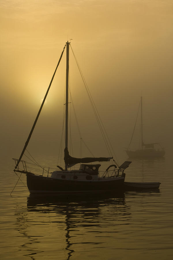 Boat Photograph - Morning Fog by Esty Mickens