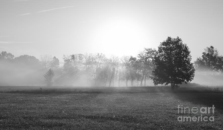 Morning Fog Grayscale Photograph by Jennifer White