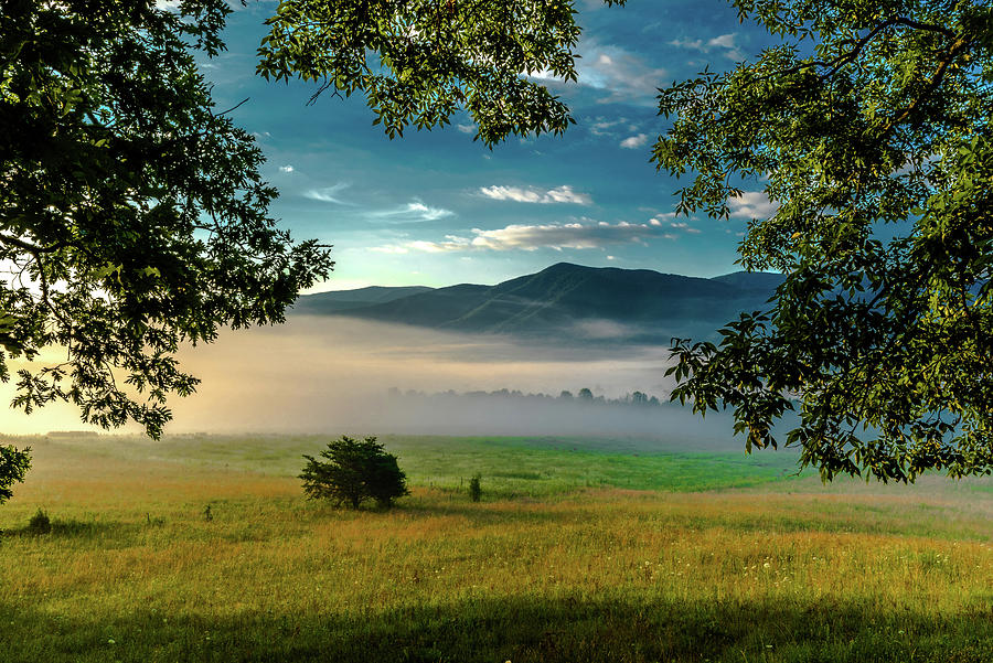 Morning Fog in the Smokies Photograph by Eric Albright