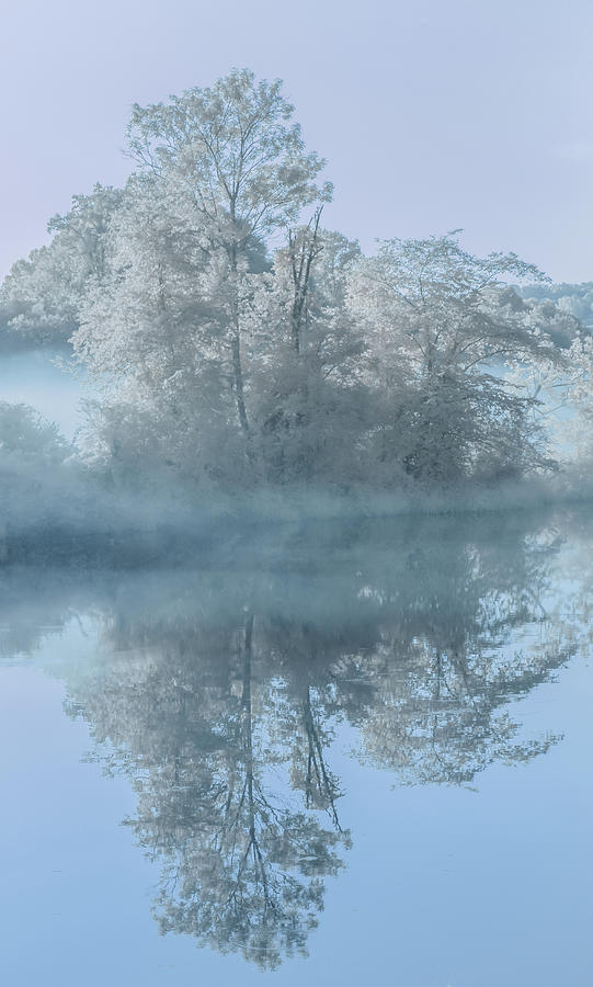 Morning Fog Infrared Photograph by Christy Cox