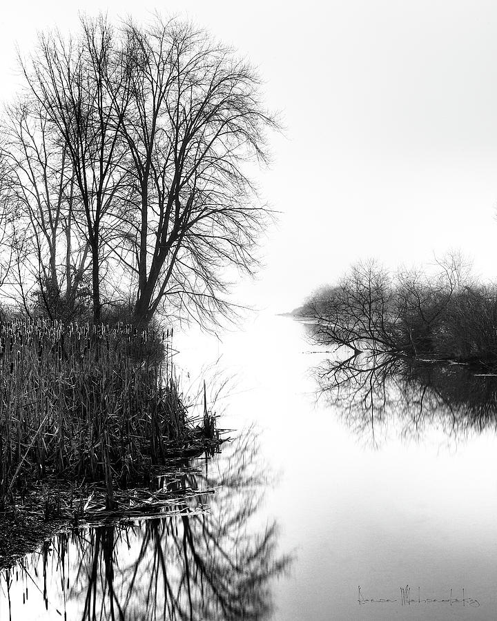 Morning Fog - Inlet, Lake Logan by Roman Wilshanetsky Morning Fog - Inlet, Lake Logan by Roman Wilshanetsky