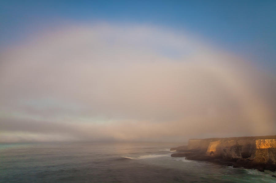 Morning Fog Photograph by Jonathan Nguyen
