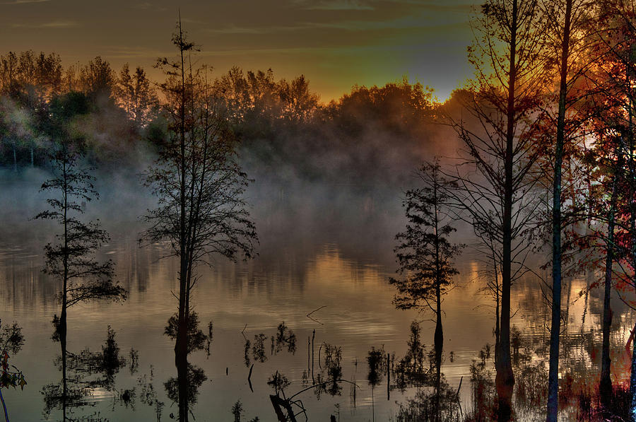 Landscape Photograph - Morning Fog by Kimberly McKinley