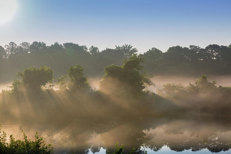 Morning Fog Latticework Photograph by Christy Cox