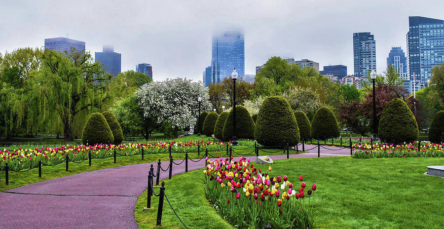 Morning Fog Lifting In Boston Public Garden Photograph By C Sev 