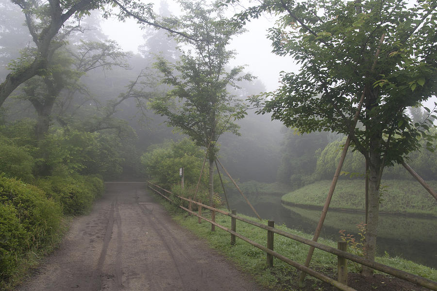 Morning Fog Photograph by Masami Iida