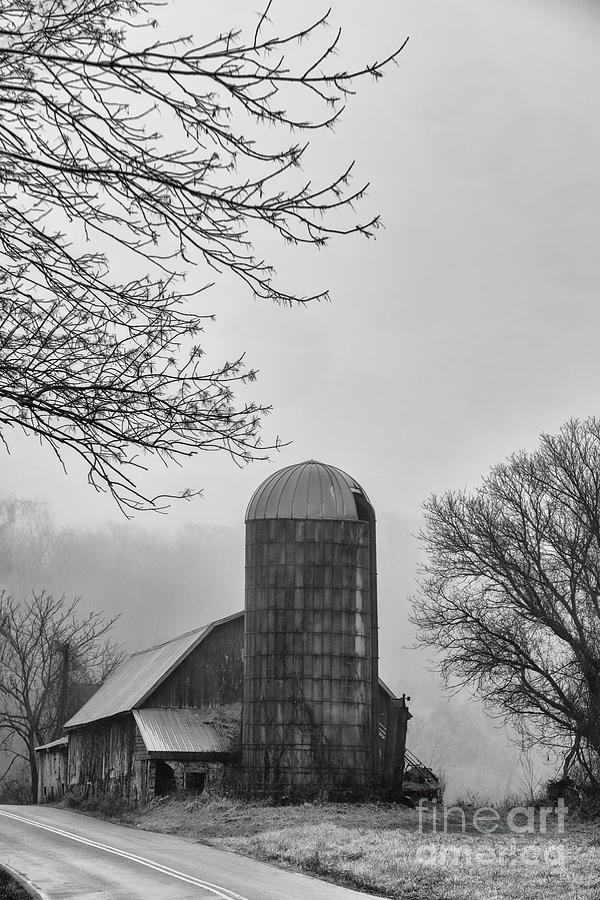 Morning Fog Photograph by Nicki McManus